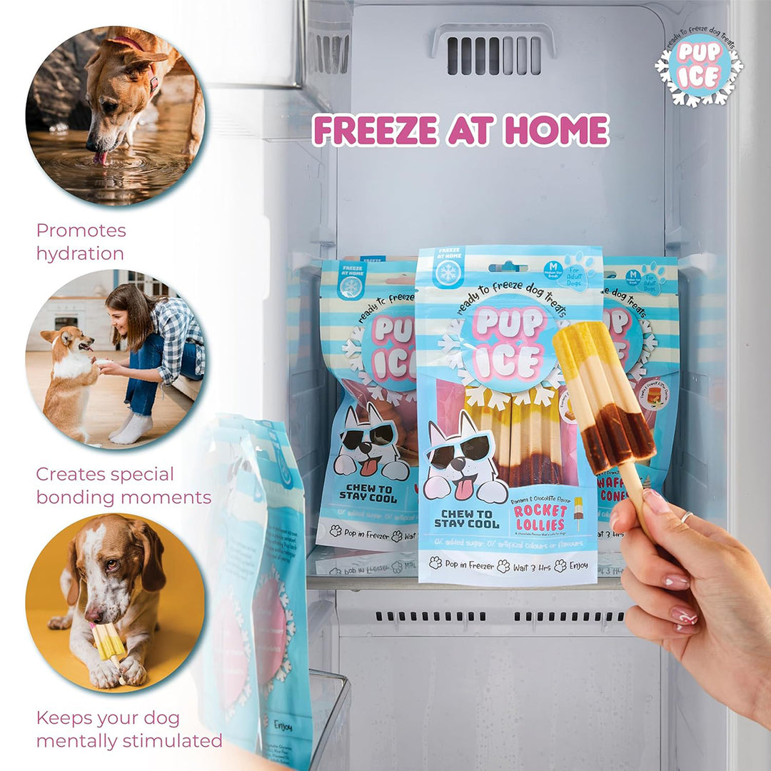 Pup Ice Rocket Lollies, Banana & Chocolate Flavour Dog Treat, 2 Pcs - 90g