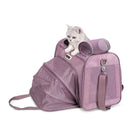 White kitten resting on purple pet carrier bag with mesh panels and shoulder strap, zigly