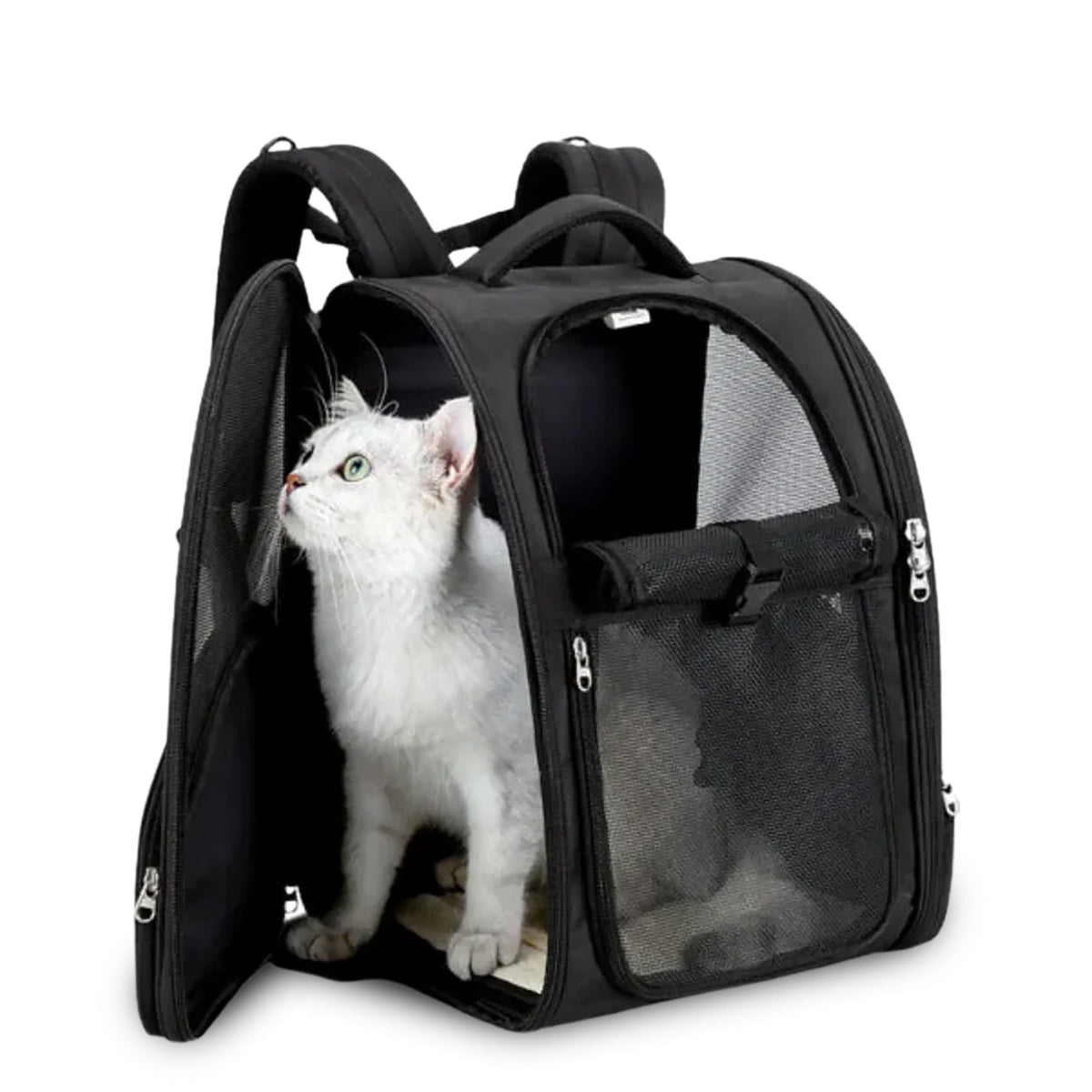 White cat inside black mesh ventilated pet carrier backpack by zigly