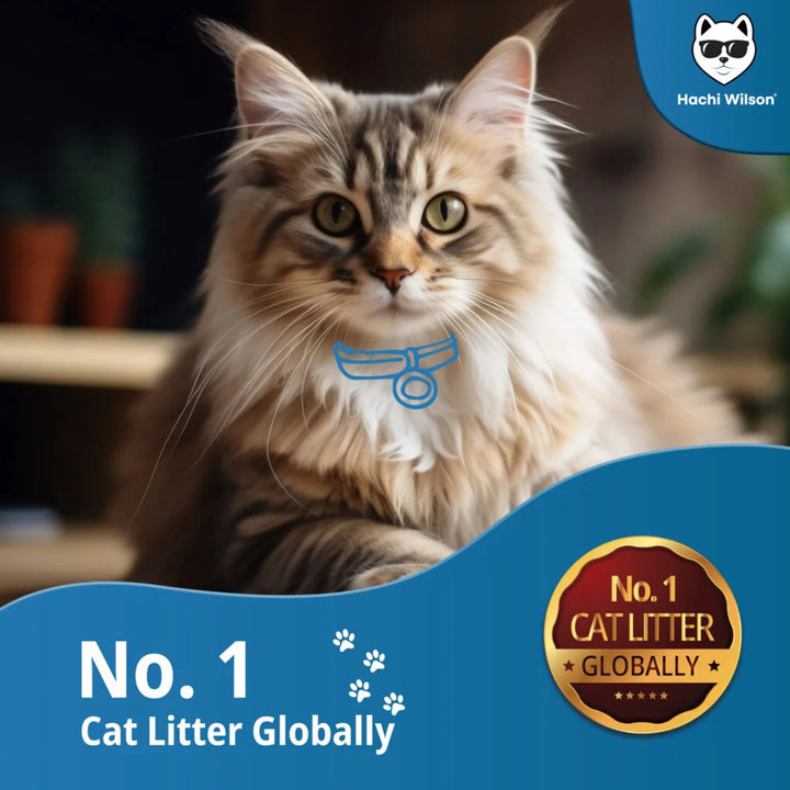 Hachi Wilson Premium 100% Natural Bentonite Cat Litter - 5kg