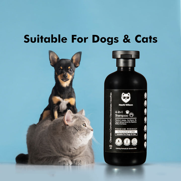 Hachi Wilson Premium 4-in-1 Dog/Cat Shampoo (USA Formulated, USFDA Approved) - 300ml