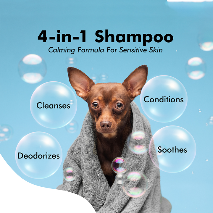 Hachi Wilson Premium 4-in-1 Dog/Cat Shampoo (USA Formulated, USFDA Approved) - 300ml