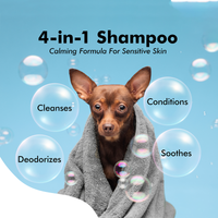 Hachi Wilson Premium 4-in-1 Dog/Cat Shampoo (USA Formulated, USFDA Approved) - 300ml