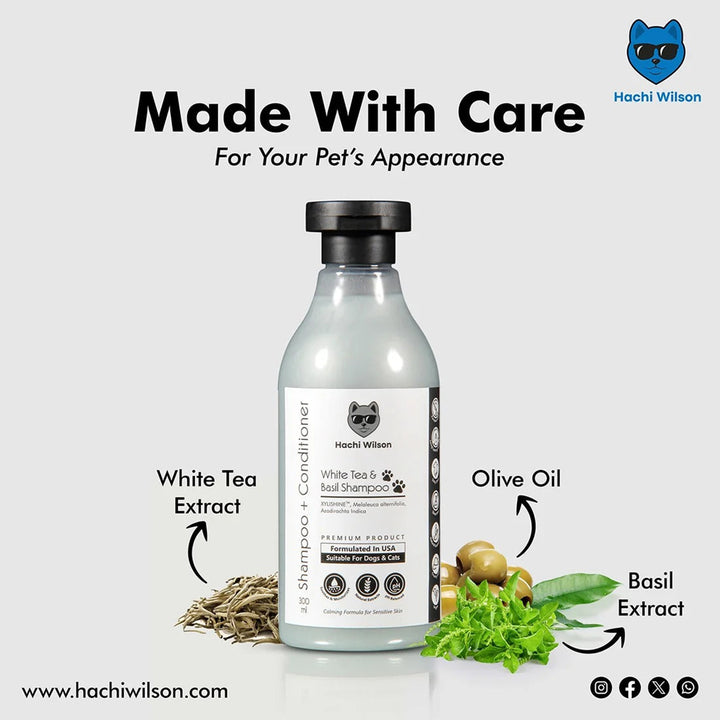 Hachi Wilson Premium White Tea & Basil Dog/Cat Shampoo (USA Formulated, USFDA Approved) - 300ml