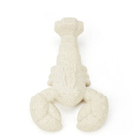 Fofos Durable Lobster Dog Chew Toy