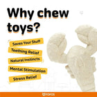 Zigly teething relief chew toy shaped like a crab with benefits like stress relief and mental stimulation