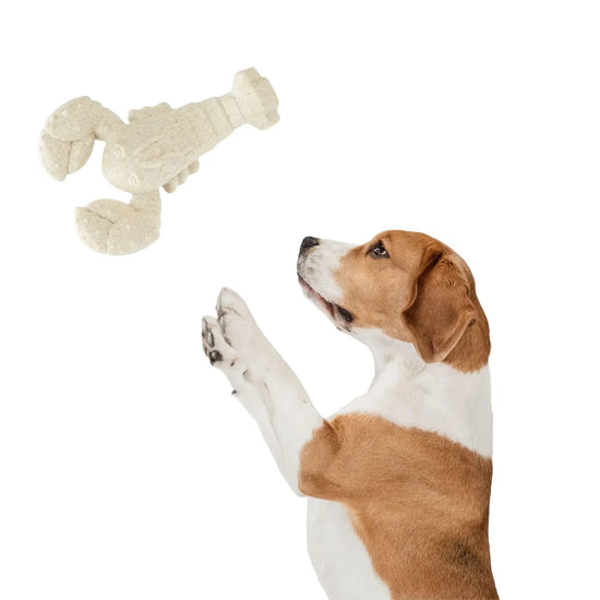 Fofos Durable Lobster Dog Chew Toy