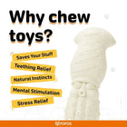 Zigly dog chew toy highlighting benefits like teething relief, stress relief, and mental stimulation