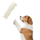 zigly brown and white dog reaching for a white squid-shaped chew toy on white background