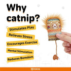Zigly catnip toy with lion face and feather, benefits listed: stimulates play, relieves stress, encourages exercise