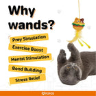 Gray cat playing with a hanging burger-shaped cat wand toy with feathers for zigly cat exercise and mental stimulation