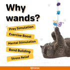 Gray cat playing with purple and blue bee toy wand for exercise and mental stimulation zigly