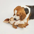 Beagle dog playing with brown plush bunny toy on white background zigly