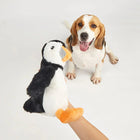 Happy beagle dog sitting on white floor with hand holding a plush penguin toy zigly
