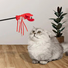 Fluffy gray cat watching a red lobster toy on stick indoors with potted plant, zigly