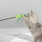 Fluffy cat playing with green teaser wand toy on floor, zigly pet accessories