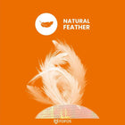 Natural feather graphic with soft feathers above textured surface on bright orange background zigly