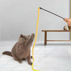 Gray cat playing with yellow zigly spiral feather toy on black wand in modern room