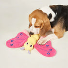 Beagle dog playing with zigly pink and yellow butterfly plush dog toy on white background