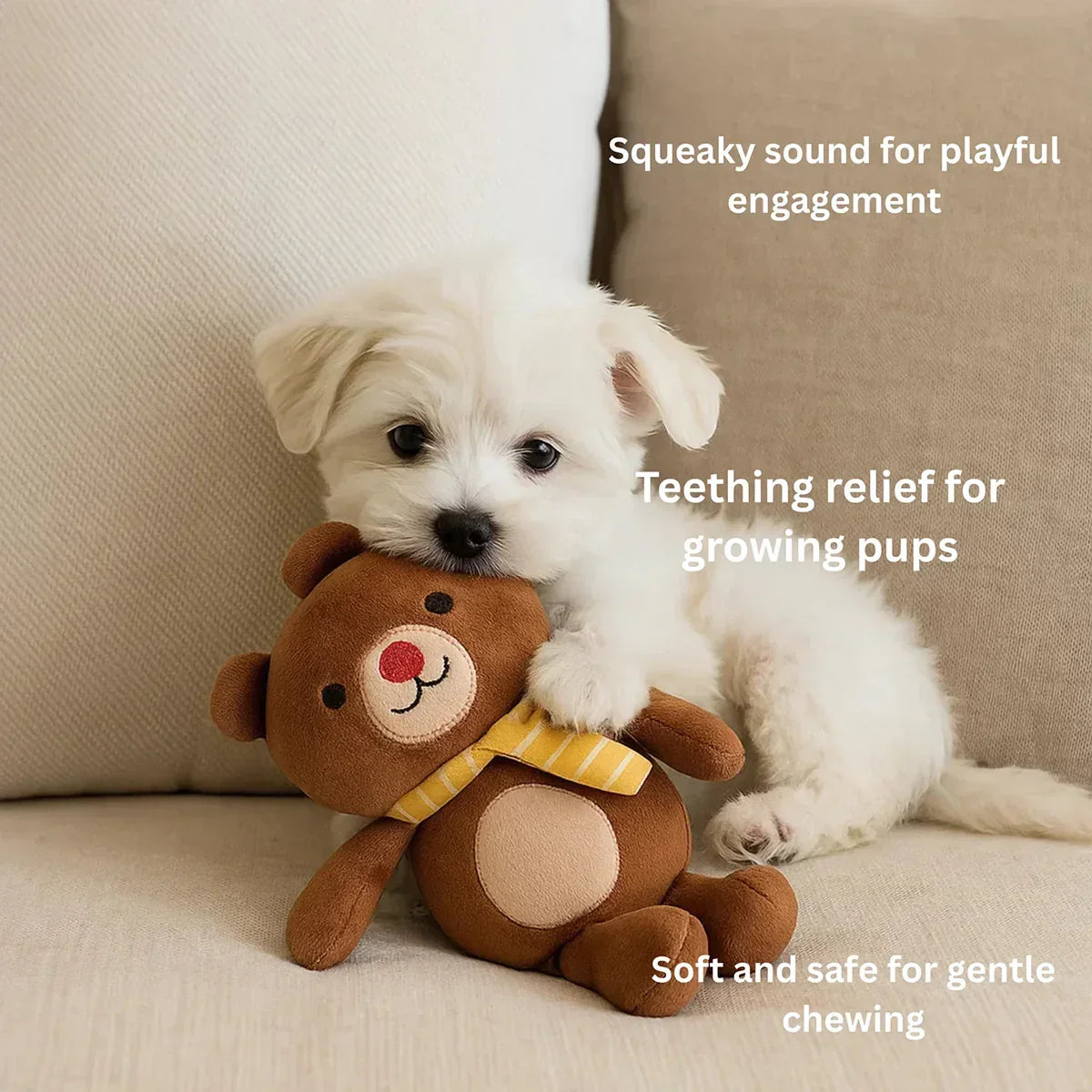 White puppy chewing brown teddy bear plush toy on couch for teething relief and playful engagement zigly