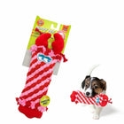 Zigly red and pink braided puppy toy with plush claws, held by small Jack Russell puppy