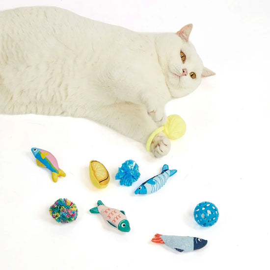 White cat lying on white background with colorful fish and ball toys, holding yellow toy, zigly