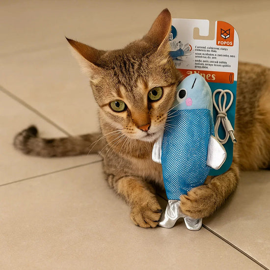 Zigly tabby cat holding blue fish-shaped toy with packaging on tiled floor