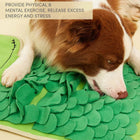 Brown and white dog sniffing green textured snuffle mat for mental exercise and energy release zigly