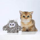 Zigly cat toy owl next to a golden brown cat with big green eyes on white surface