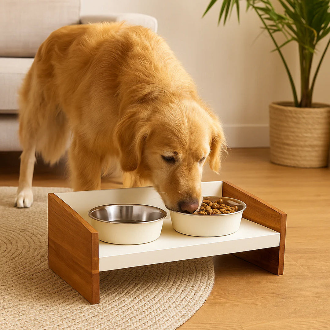 Pawpourri Magnetic Elevated Pet Diner - White