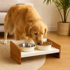 Pawpourri Magnetic Elevated Pet Diner - White