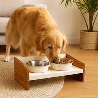 Pawpourri Magnetic Elevated Pet Diner - White