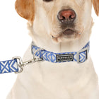 Pawpourri Blue Printed Leash For Dogs