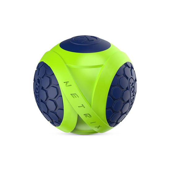 Joyser Netrix Ball Dog Toy - Green/Blue - M