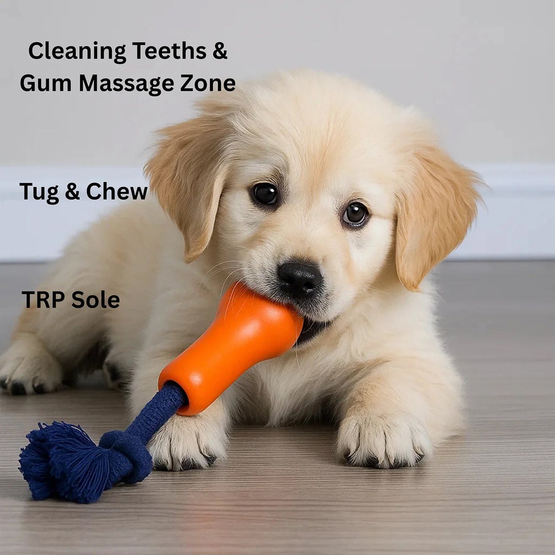 Joyser Ropper Dog Toy - Orange/Dark Blue - S-M