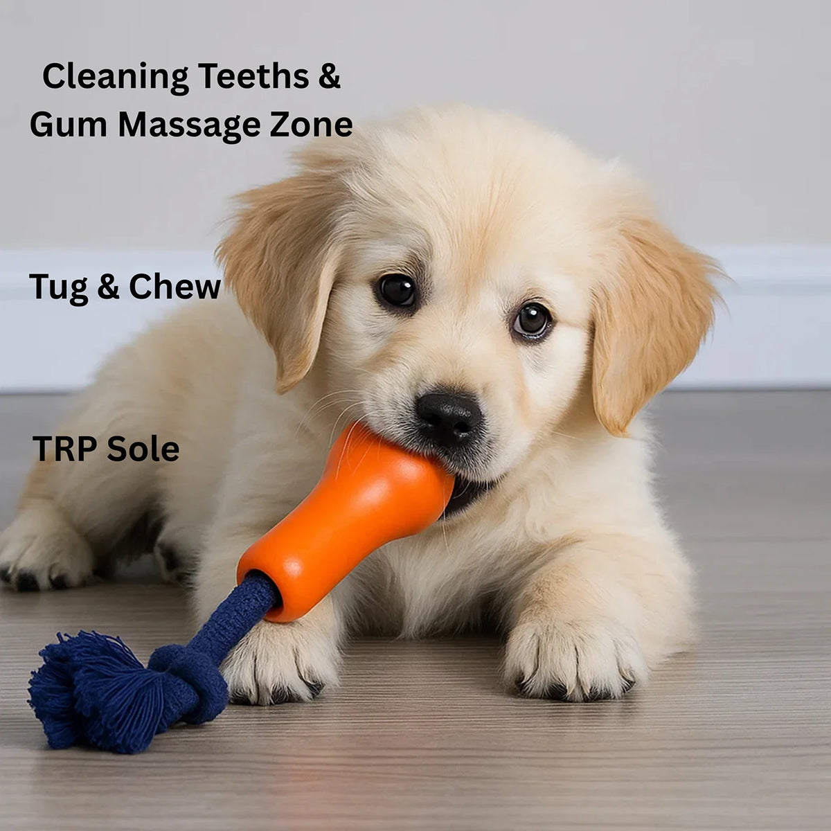 Joyser Ropper Dog Toy - Orange/Dark Blue - S-M