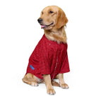 Golden retriever dog wearing a red Zigly shirt, pet apparel on white background