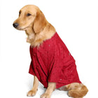 Golden retriever wearing a zigly red ethnic dog kurta on white background, pet clothing fashion