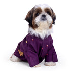 Small dog wearing a purple Zigly embroidered jacket, pet fashion on white background