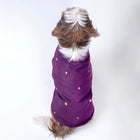 Small dog in purple embroidered Zigly pet dress on white background