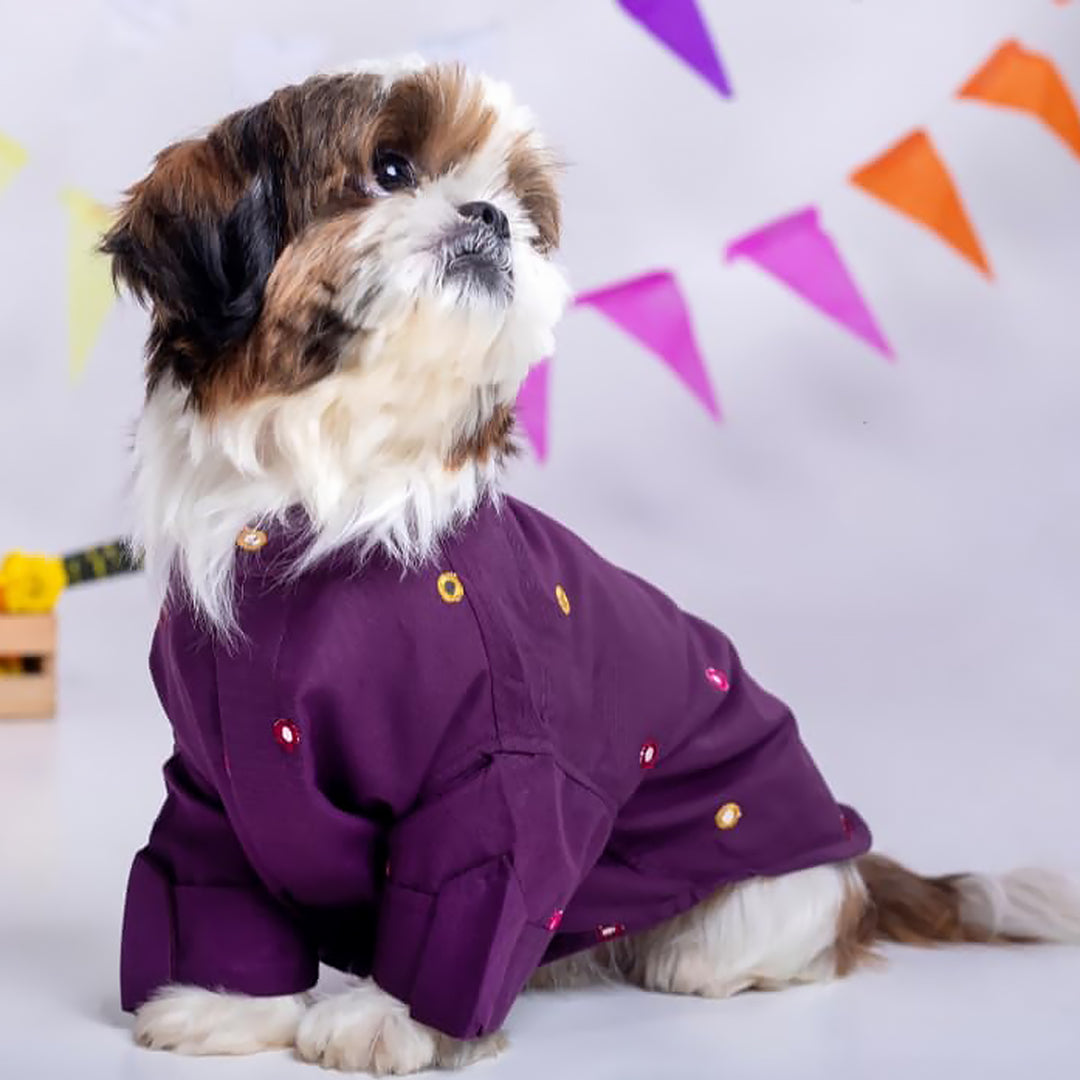 15 Furries Mirror Work Purple Wine Kurta For Dogs