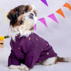 Small dog in purple Zigly outfit, sitting indoors with colorful bunting in the background