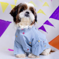 15 Furries Mirror Work Powder Blue Kurta For Dogs