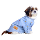 Small dog in blue Zigly pet shirt with embroidered dots, sitting on white background