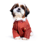 Shih Tzu dog wearing a red embellished jacket, zigly pet clothing product on white background