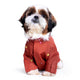 Shih Tzu dog wearing a red jacket decorated with colorful embellishments on a white background zigly