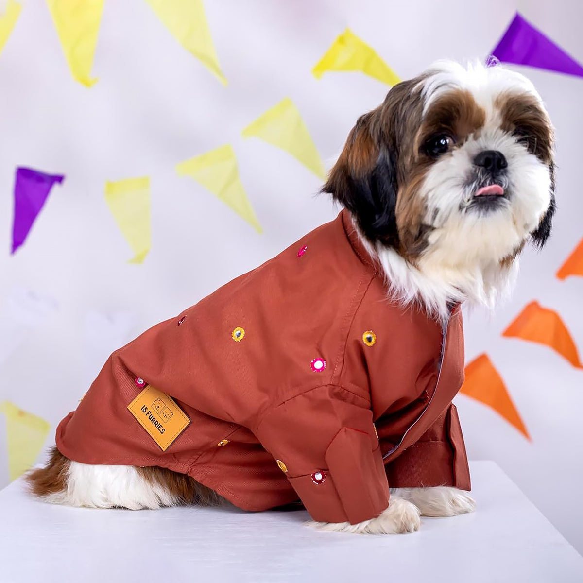 Shih Tzu dog wearing embroidered brown jacket with 15 Furries tag, colorful flags background zigly