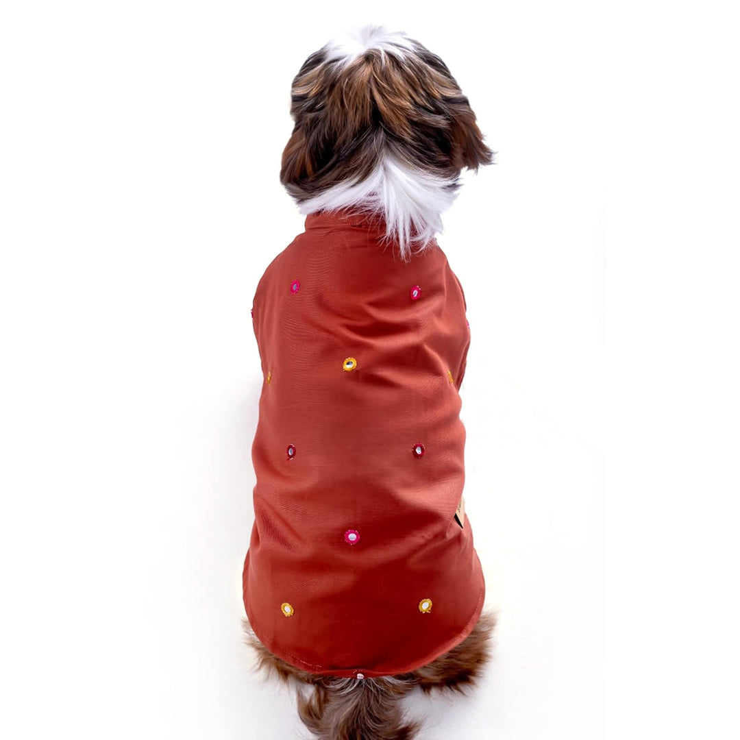 Small dog wearing rust-colored jacket with zigly colorful embroidery, back view, white background