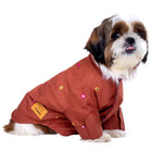 Small dog in a brown embroidered jacket with zigly patch, sitting on white background
