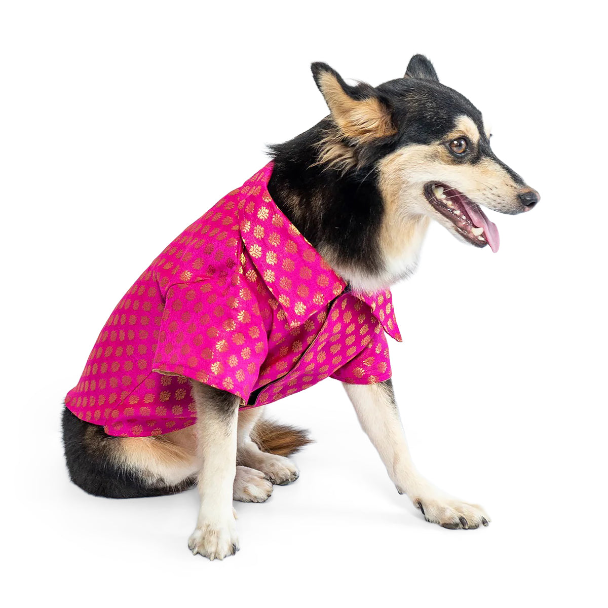 Pawgy Pets Occassion Wear Dog Shirt Pink